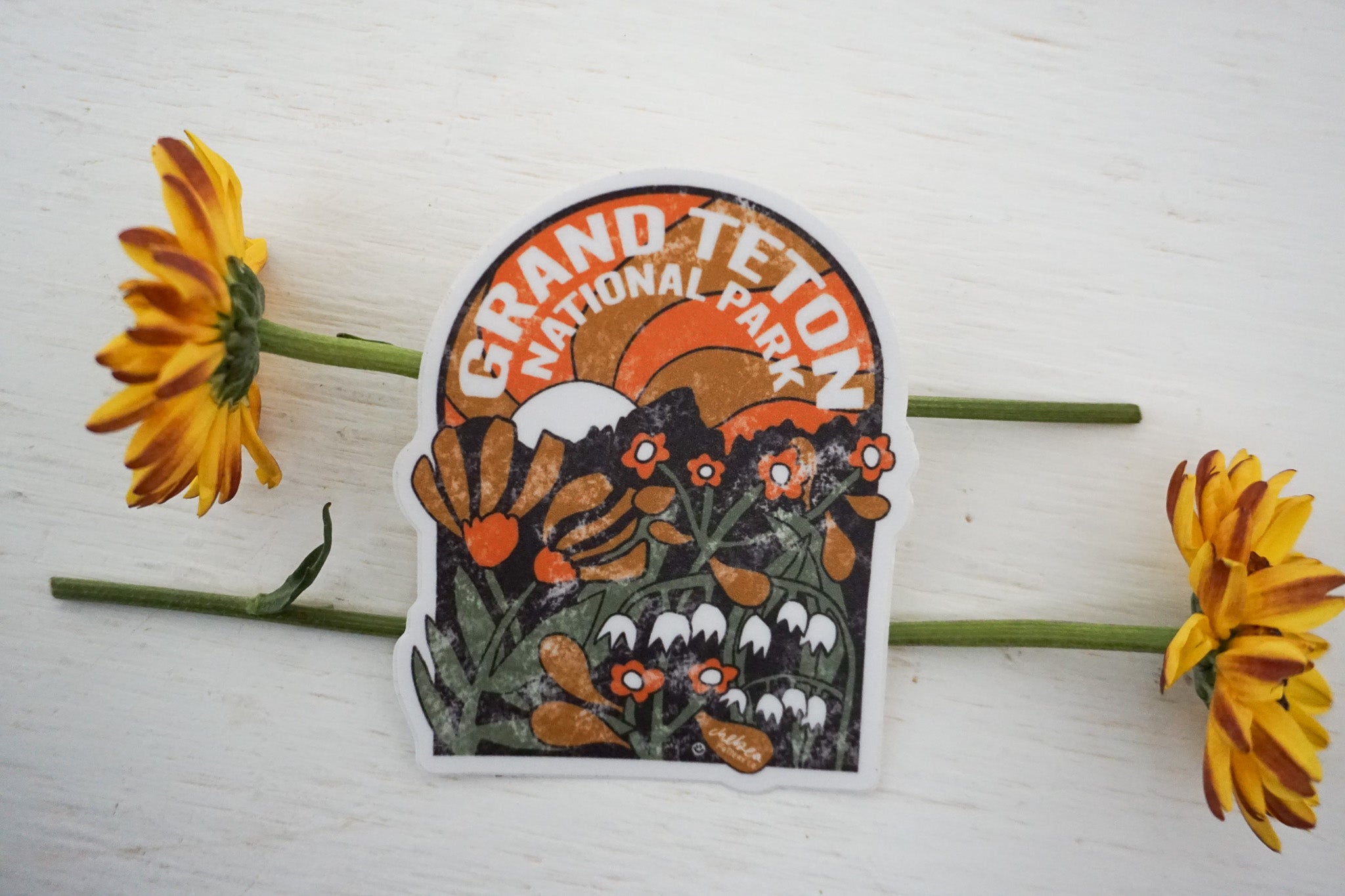 Vintage GRAND TETON Sticker image 1
