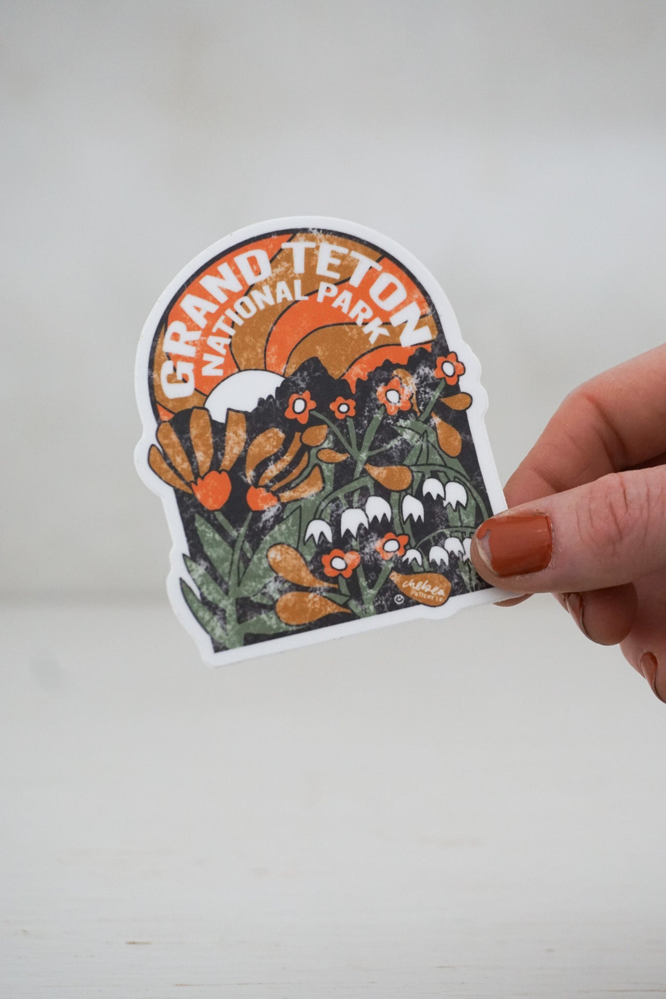 Vintage GRAND TETON Sticker image 0