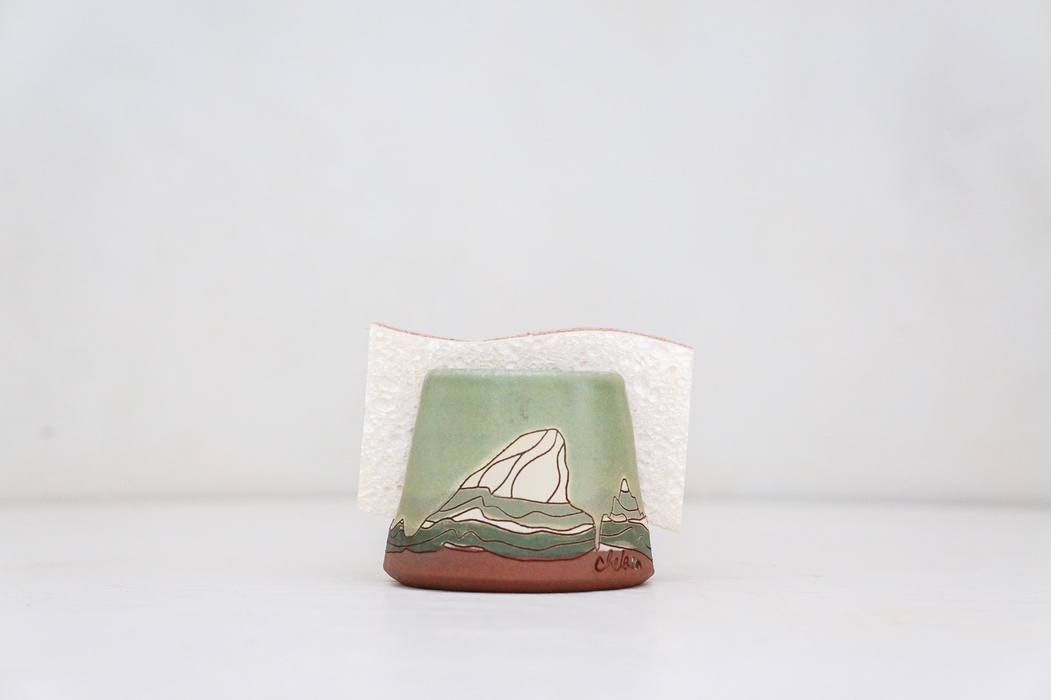 E Teton Sponge Holder in Sage