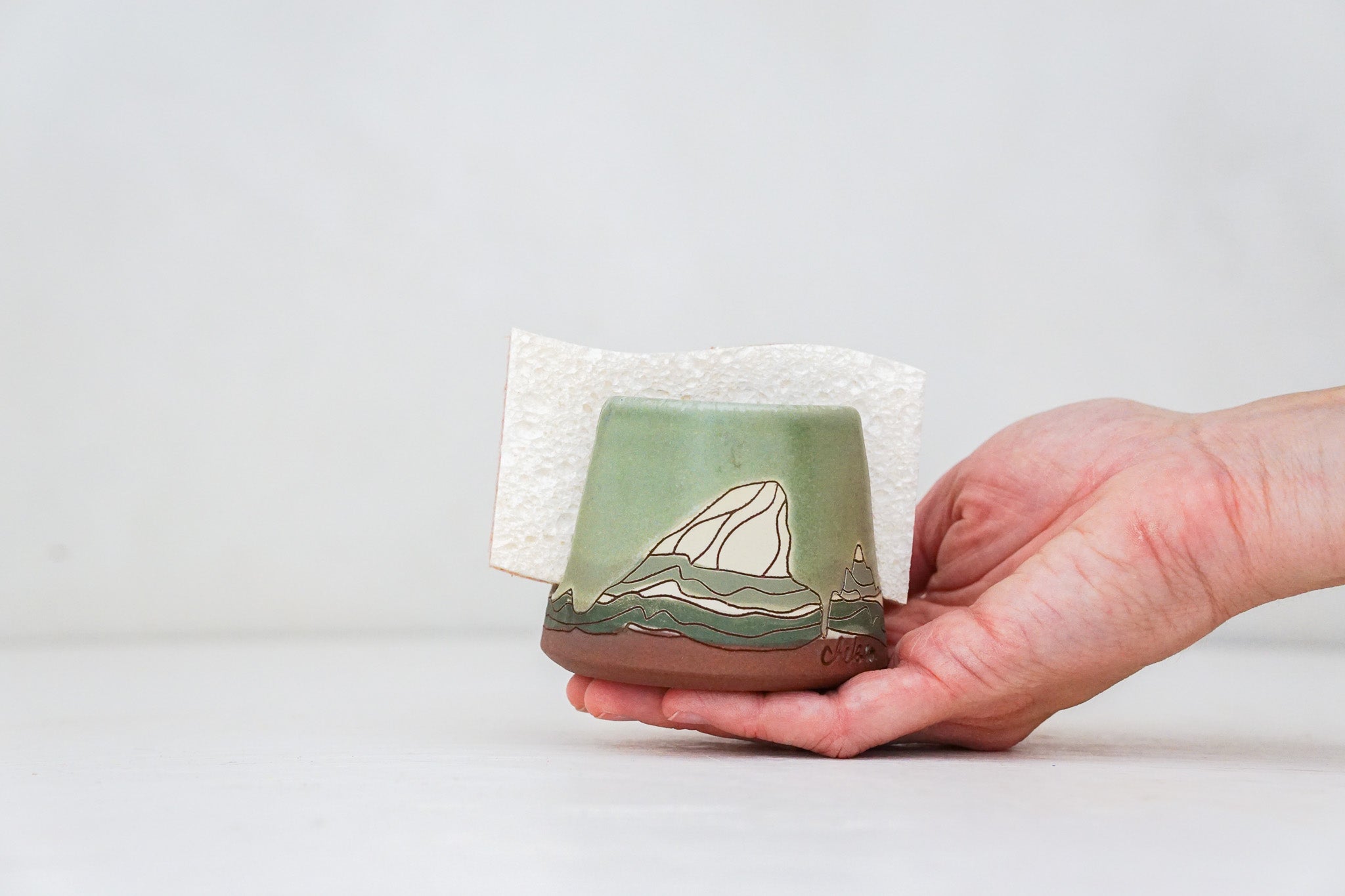 E Teton Sponge Holder in Sage