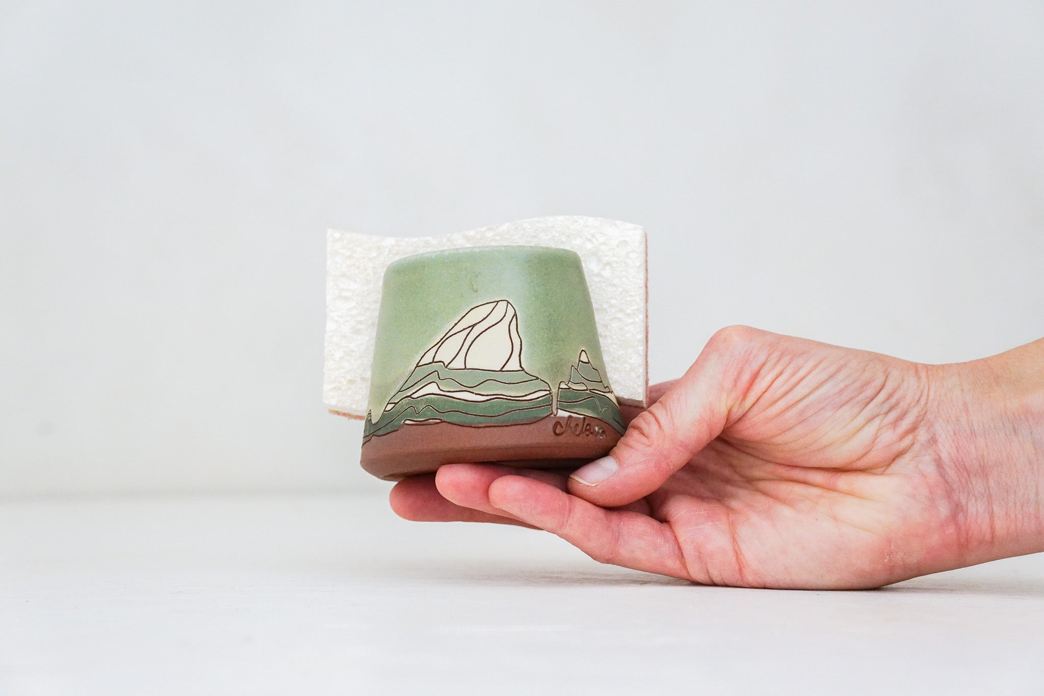 E Teton Sponge Holder in Sage