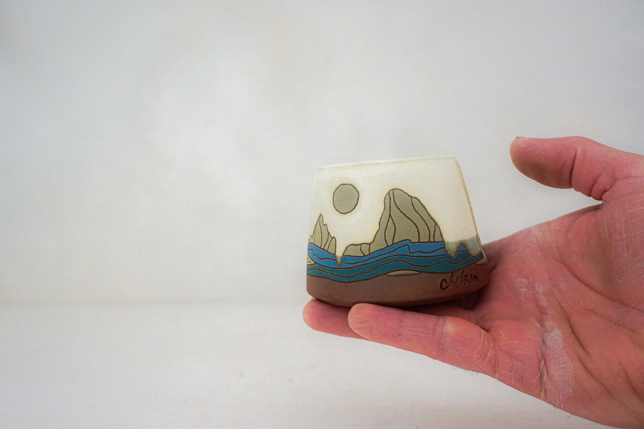 W Teton Sponge holder in BONE