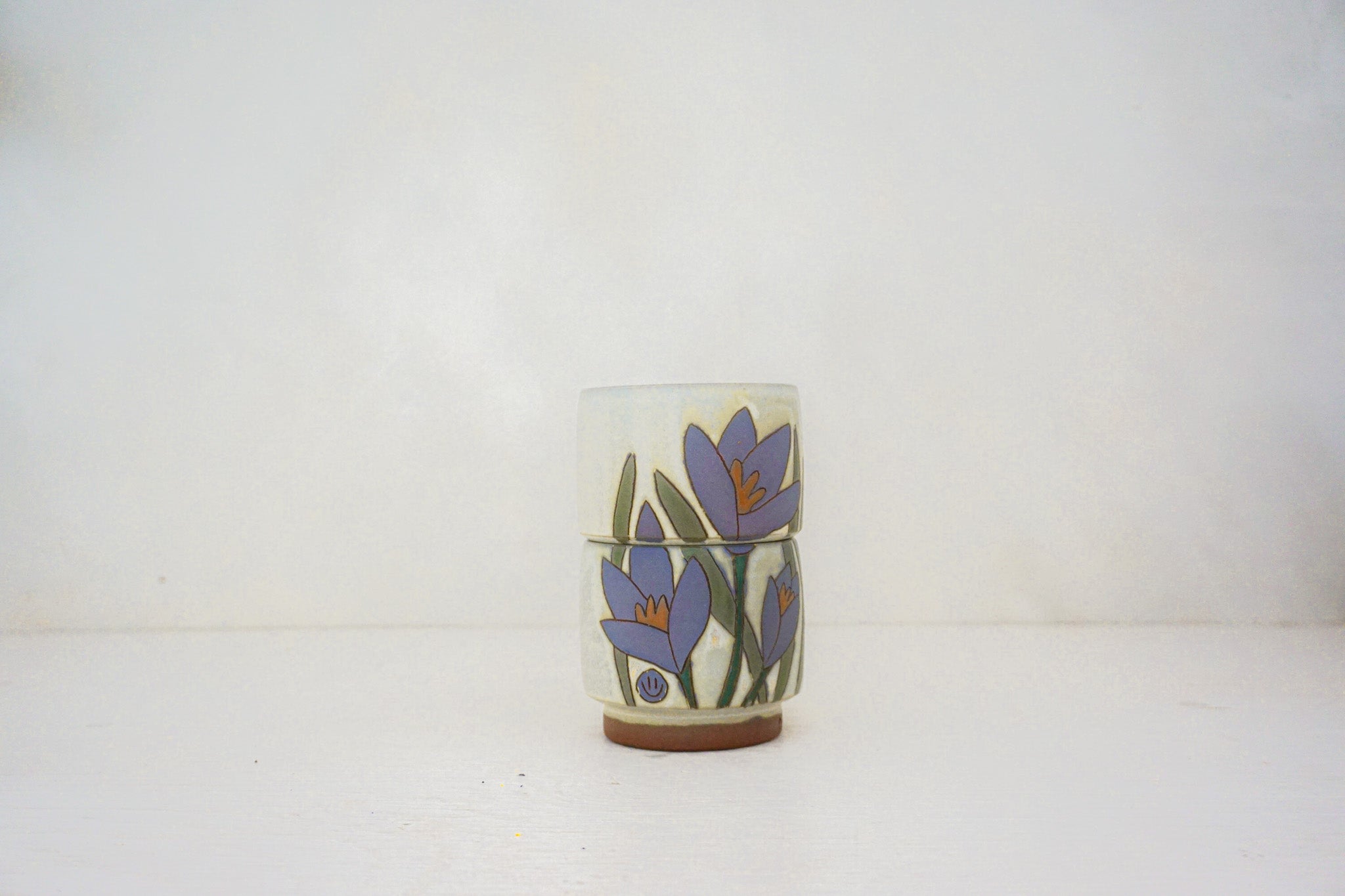 Crocus purple stacks in BONE