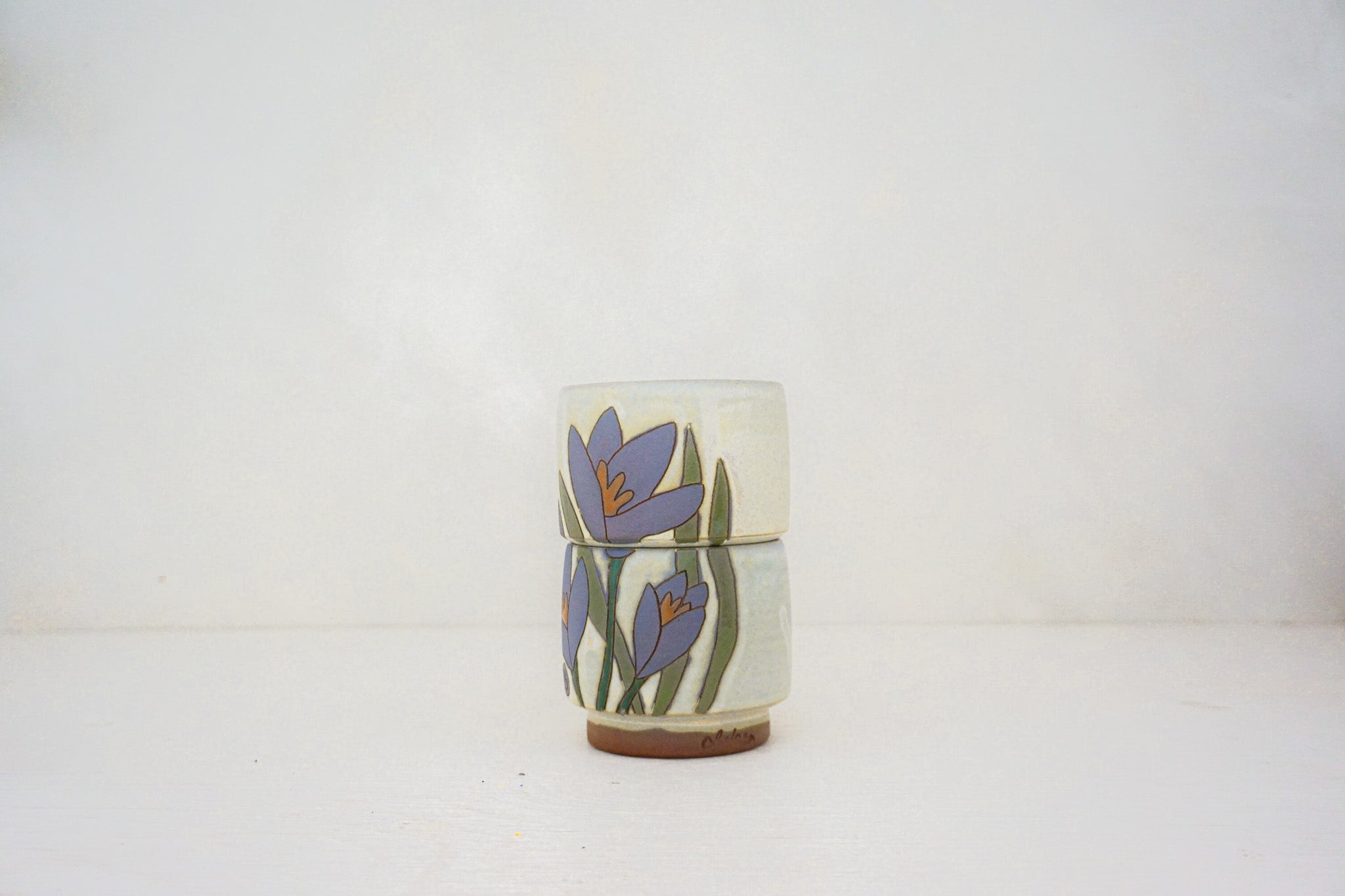 Crocus purple stacks in BONE