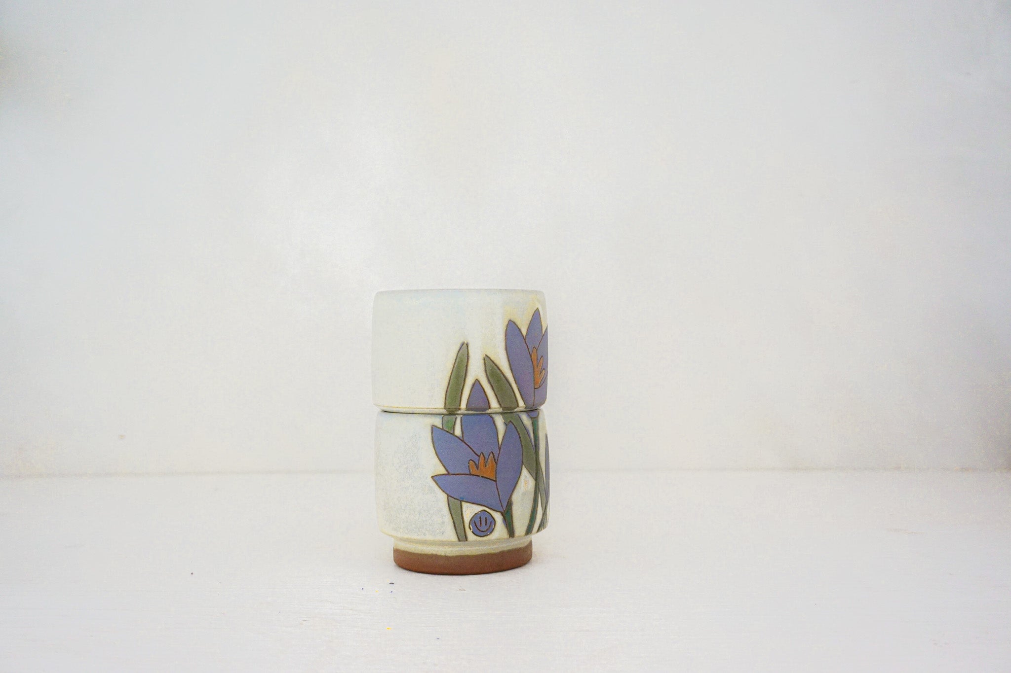 Crocus purple stacks in BONE