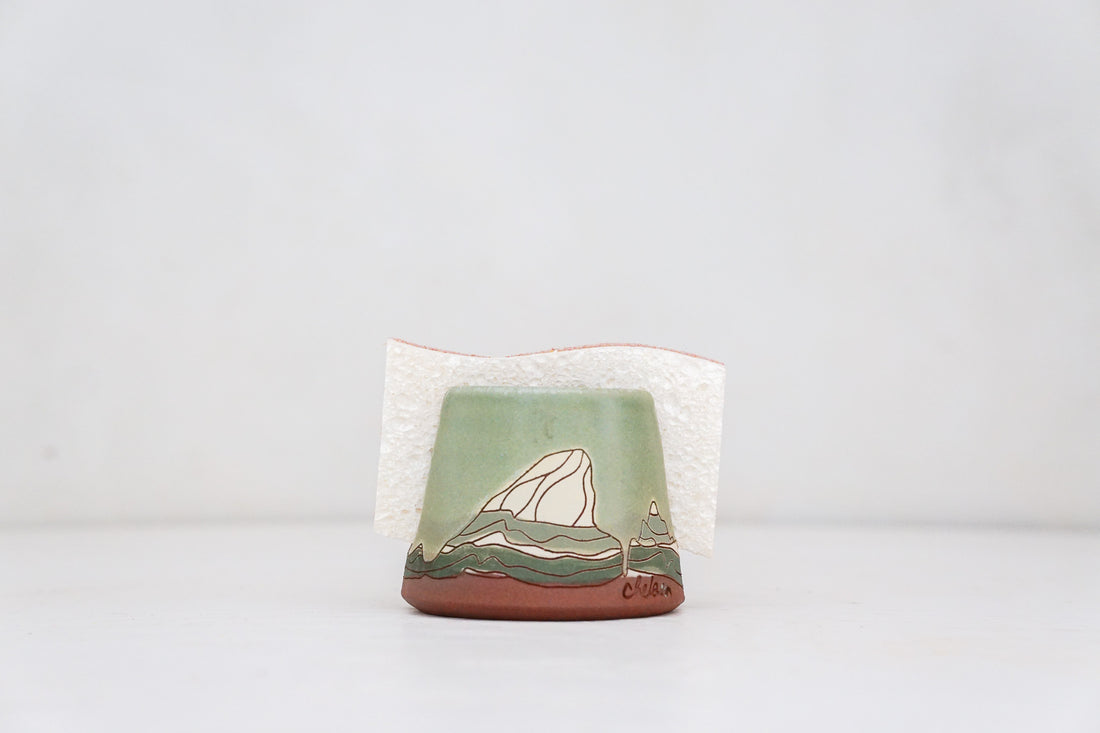 E Teton Sponge Holder in Sage