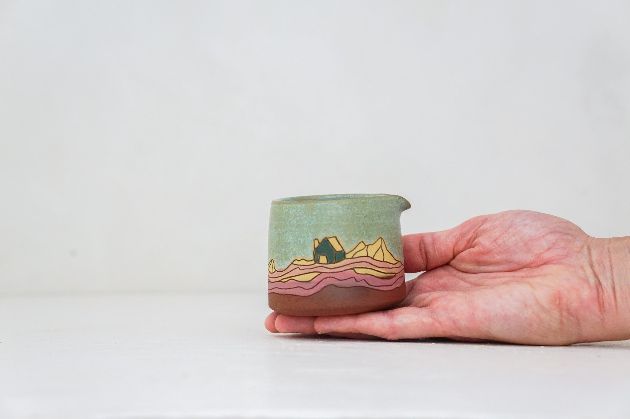 Mountain House Pitcher in Lake