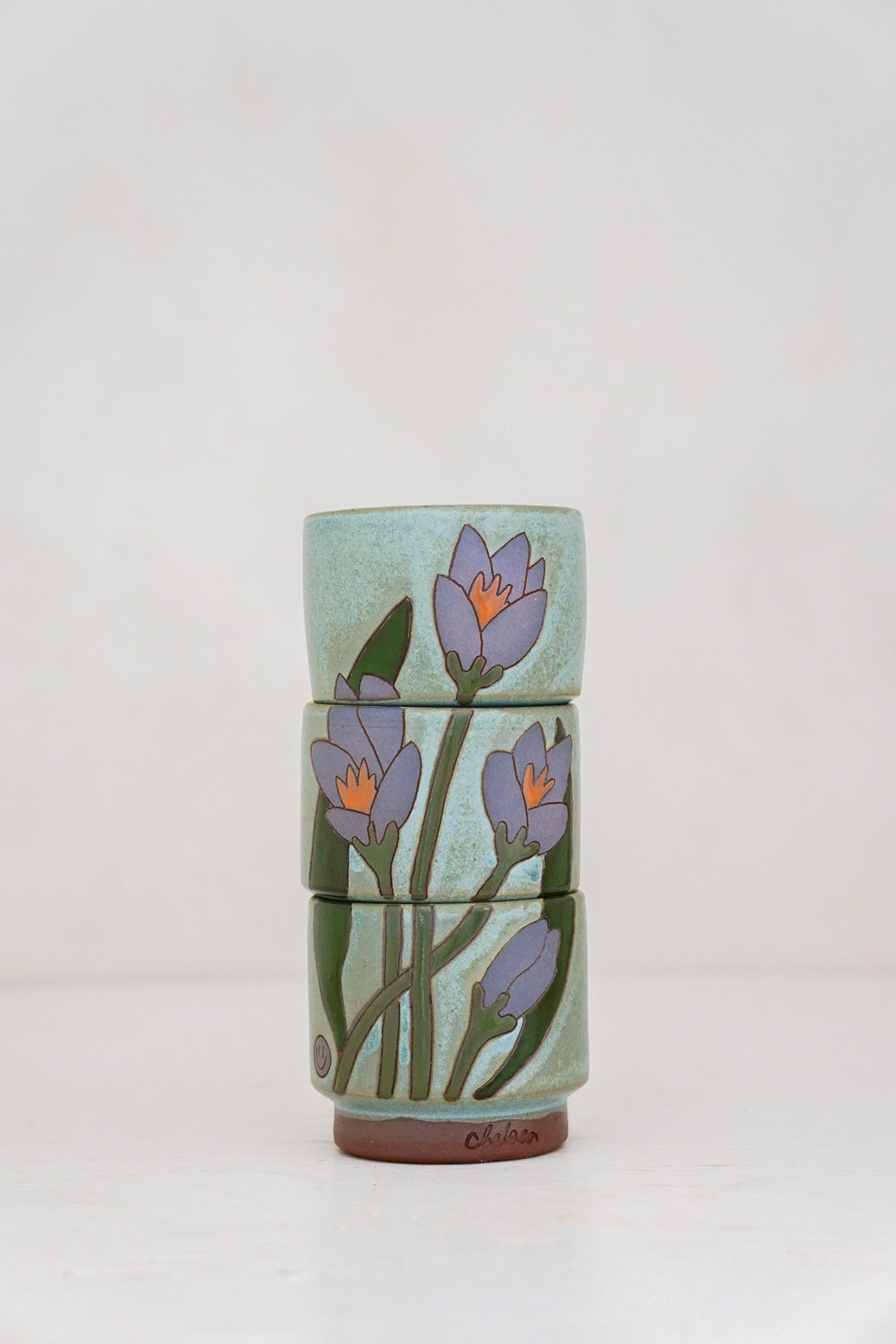 Crocus Flower cups in Lake