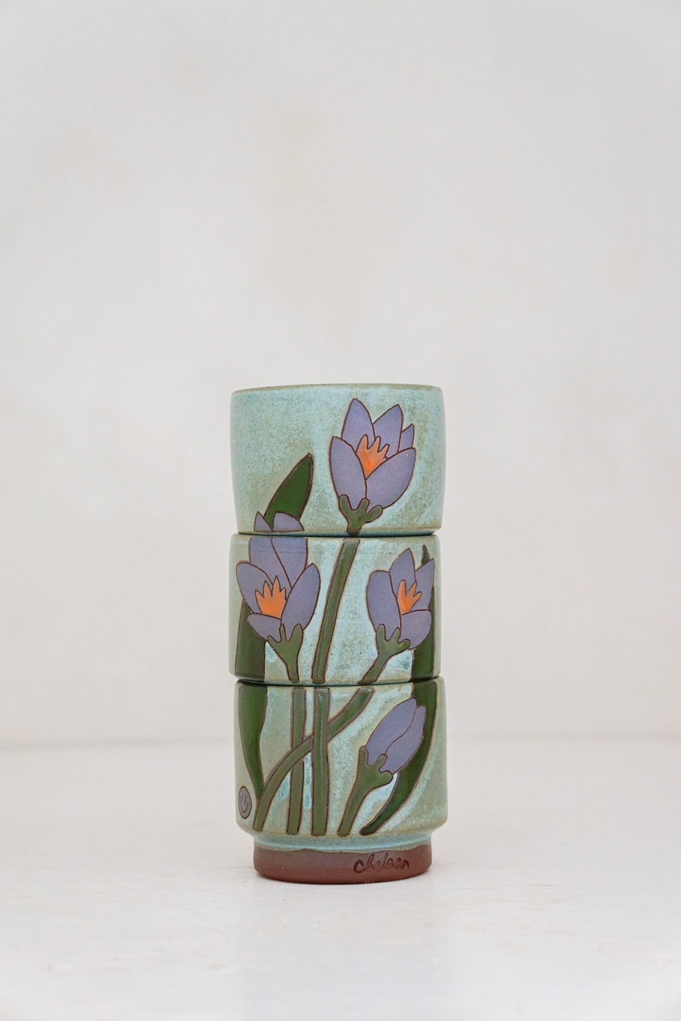 Crocus Flower cups in Lake