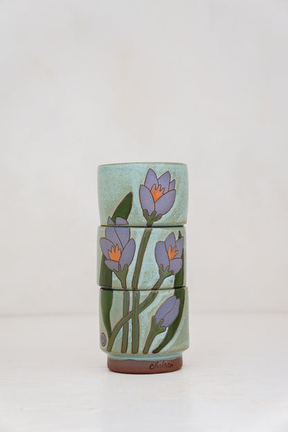 Crocus Flower cups in Lake