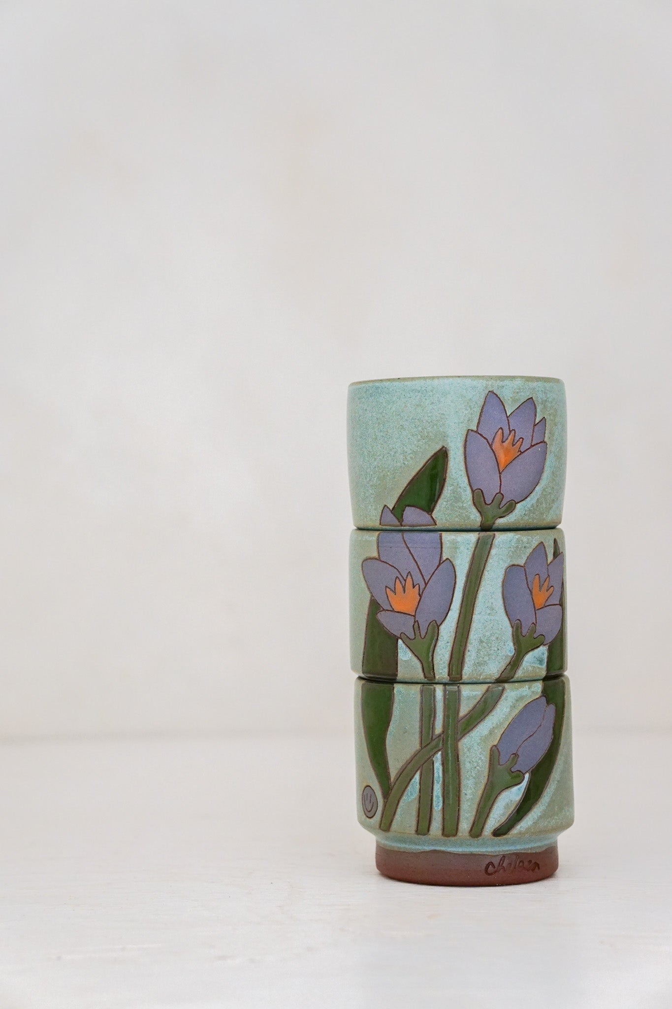 Crocus Flower cups in Lake