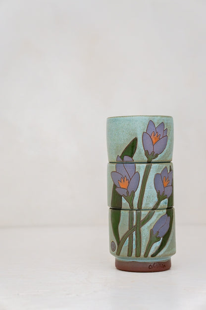 Crocus Flower cups in Lake