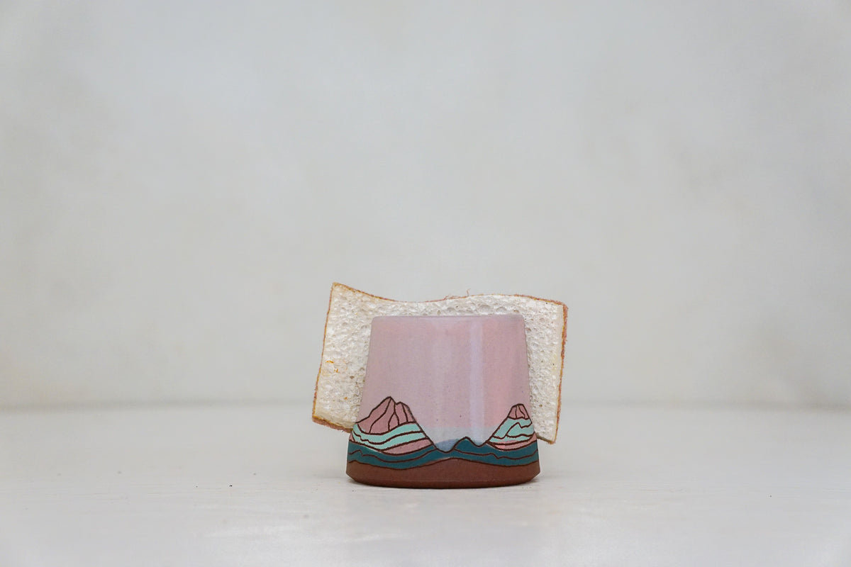 E Teton Sponge Holder in Pink