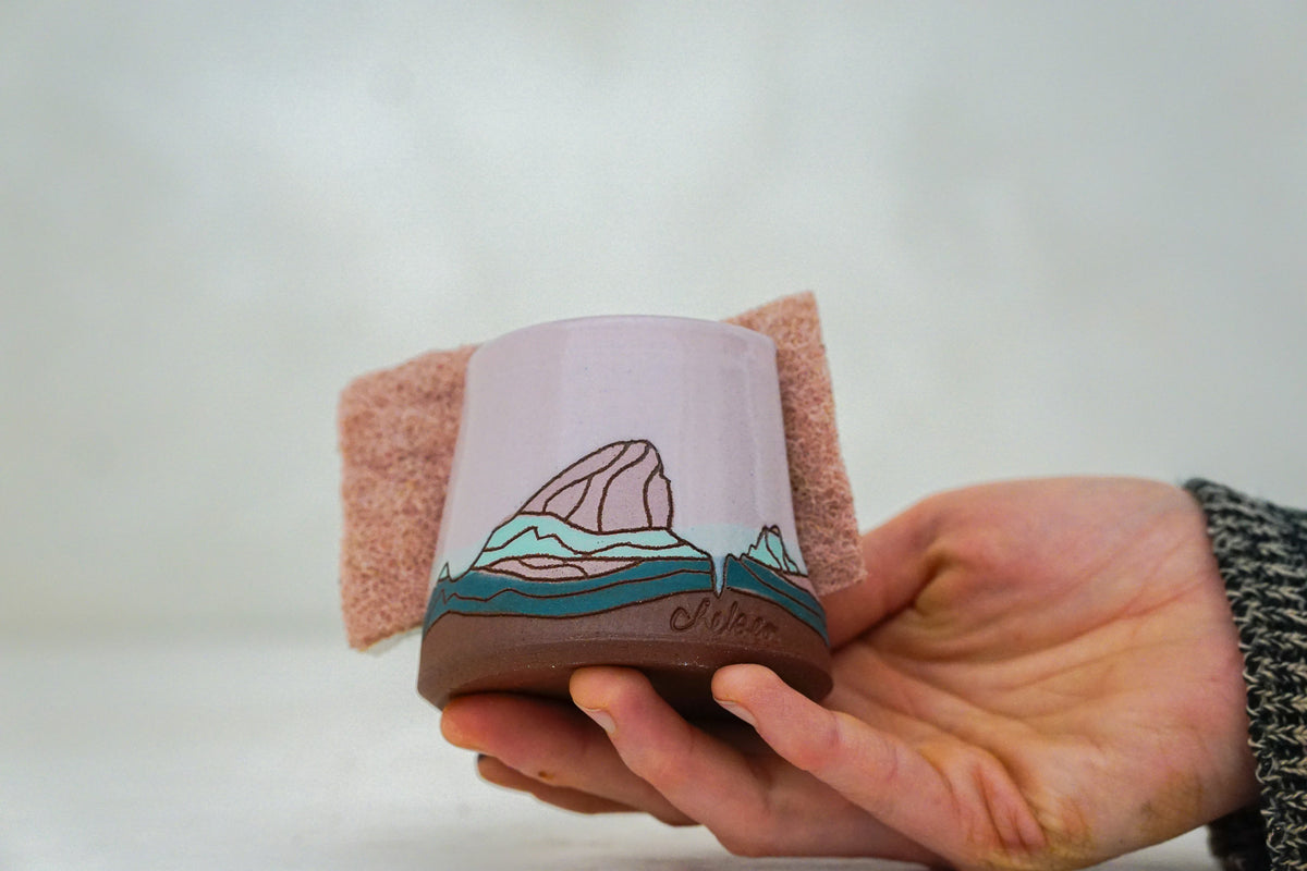 E Teton Sponge Holder in Pink