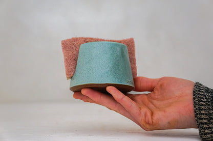 Sponge Holder in Lake