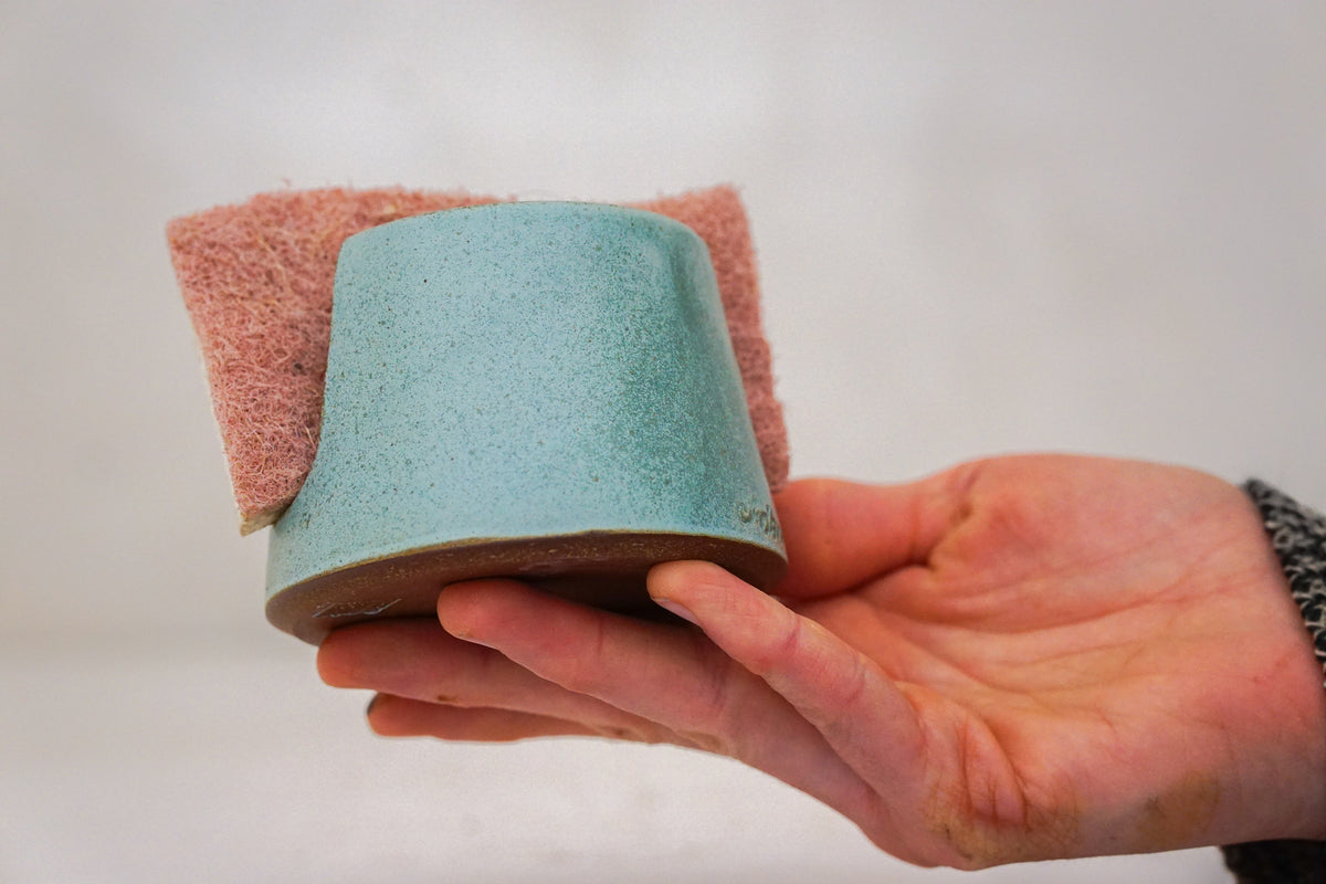 Sponge Holder in Lake