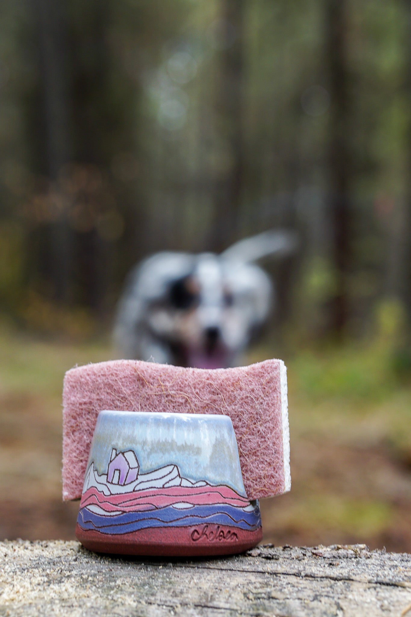 House Sponge holder in Lavender Magic