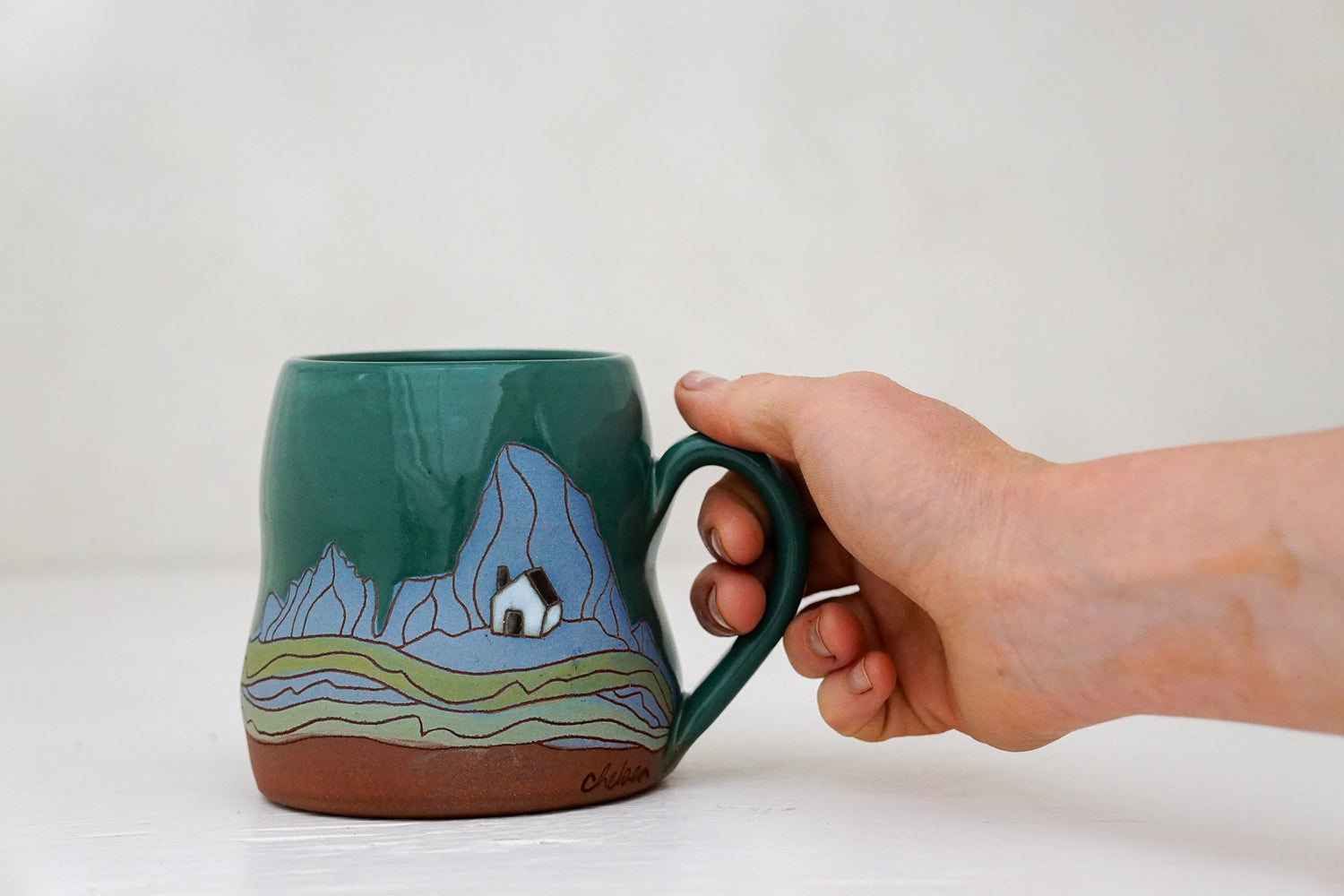 W Teton House Wavy mug