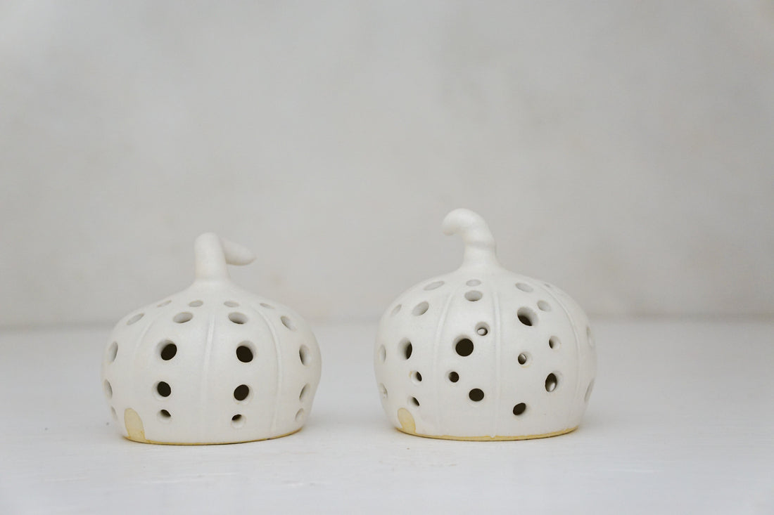 Pumpkin Luminary in Milk