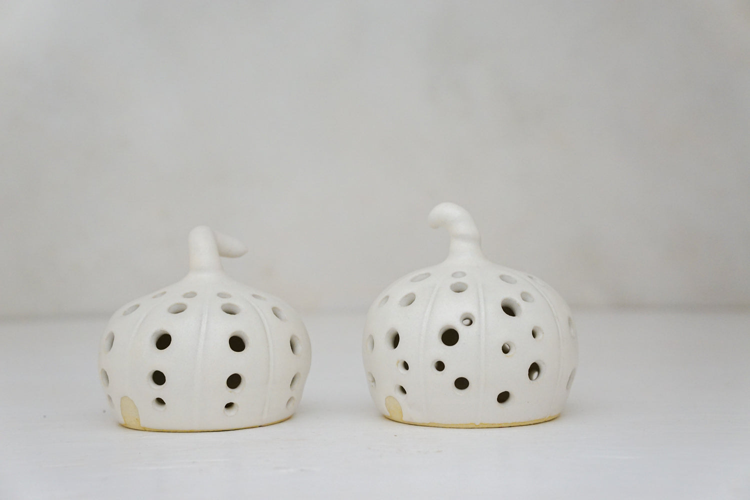 Pumpkin Luminary in Milk