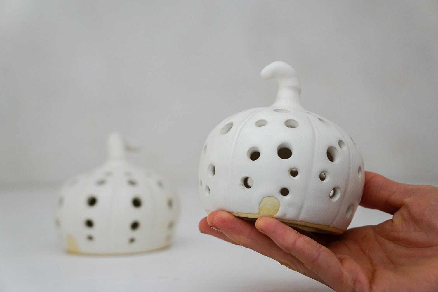 Pumpkin Luminary in Milk