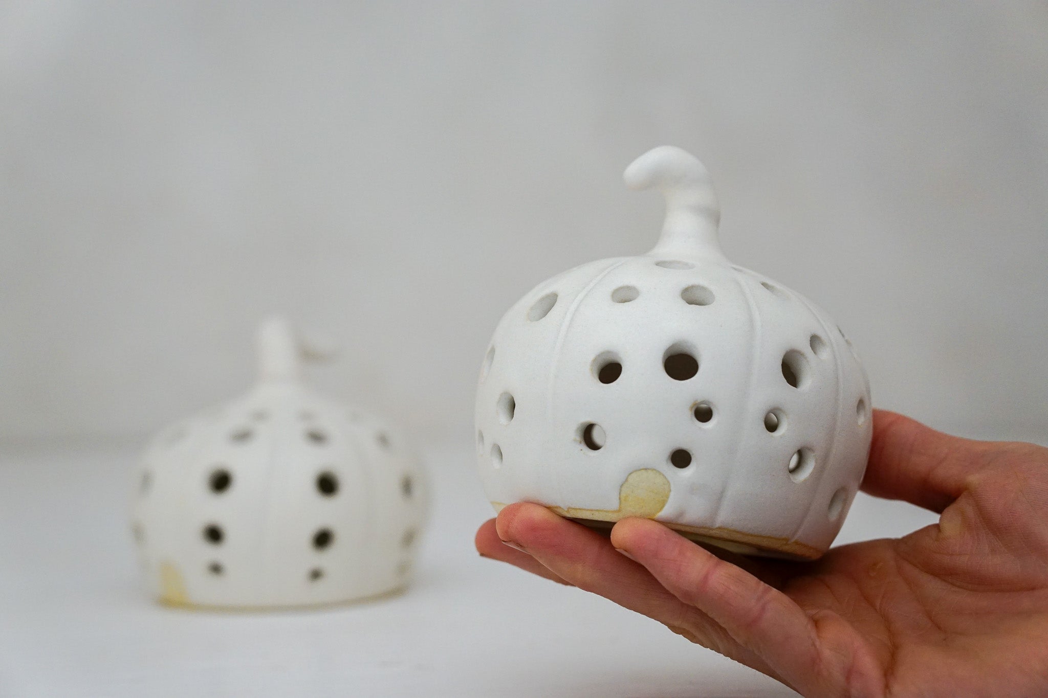 Pumpkin Luminary in Milk