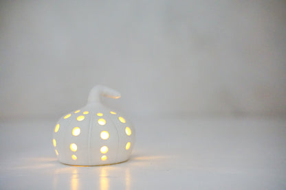 Pumpkin Luminary in Milk