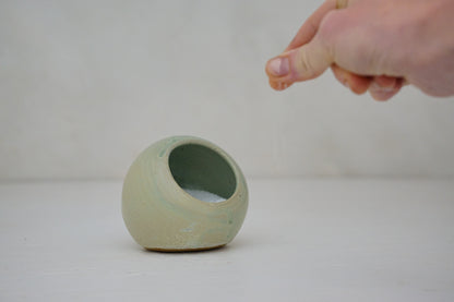 Salt Pig in Sage