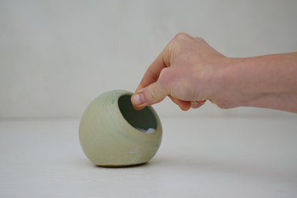 Salt Pig in Sage