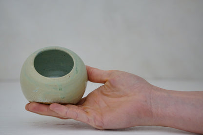 Salt Pig in Sage