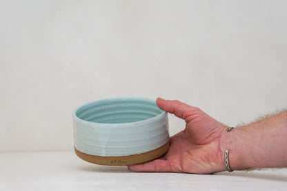 Pet, Serving, Casarole Dish in Ira