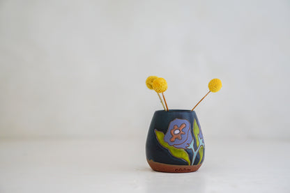 FAV Budvase in Darby