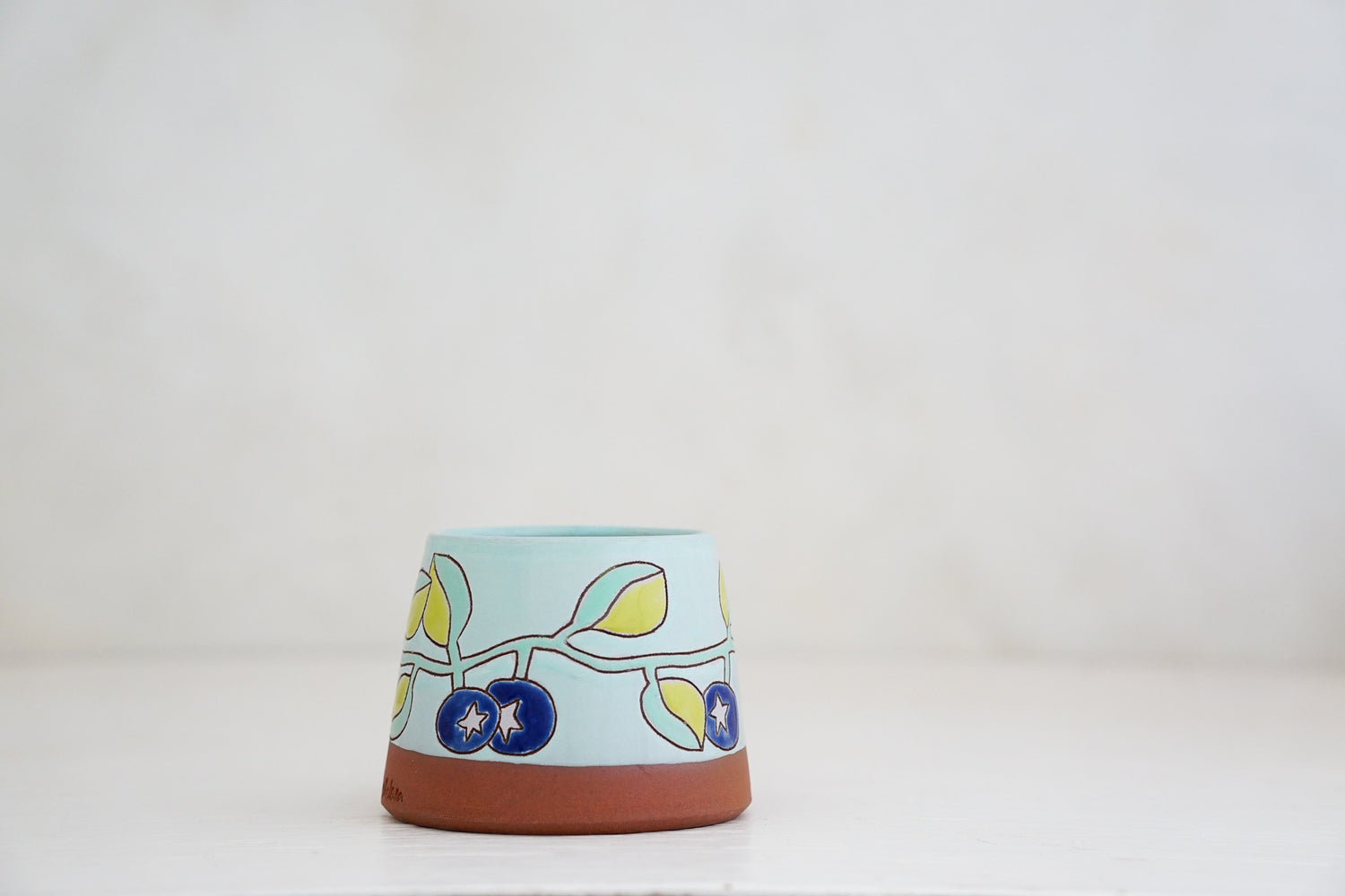 Blueberry Huckleberry Cup / Bowl