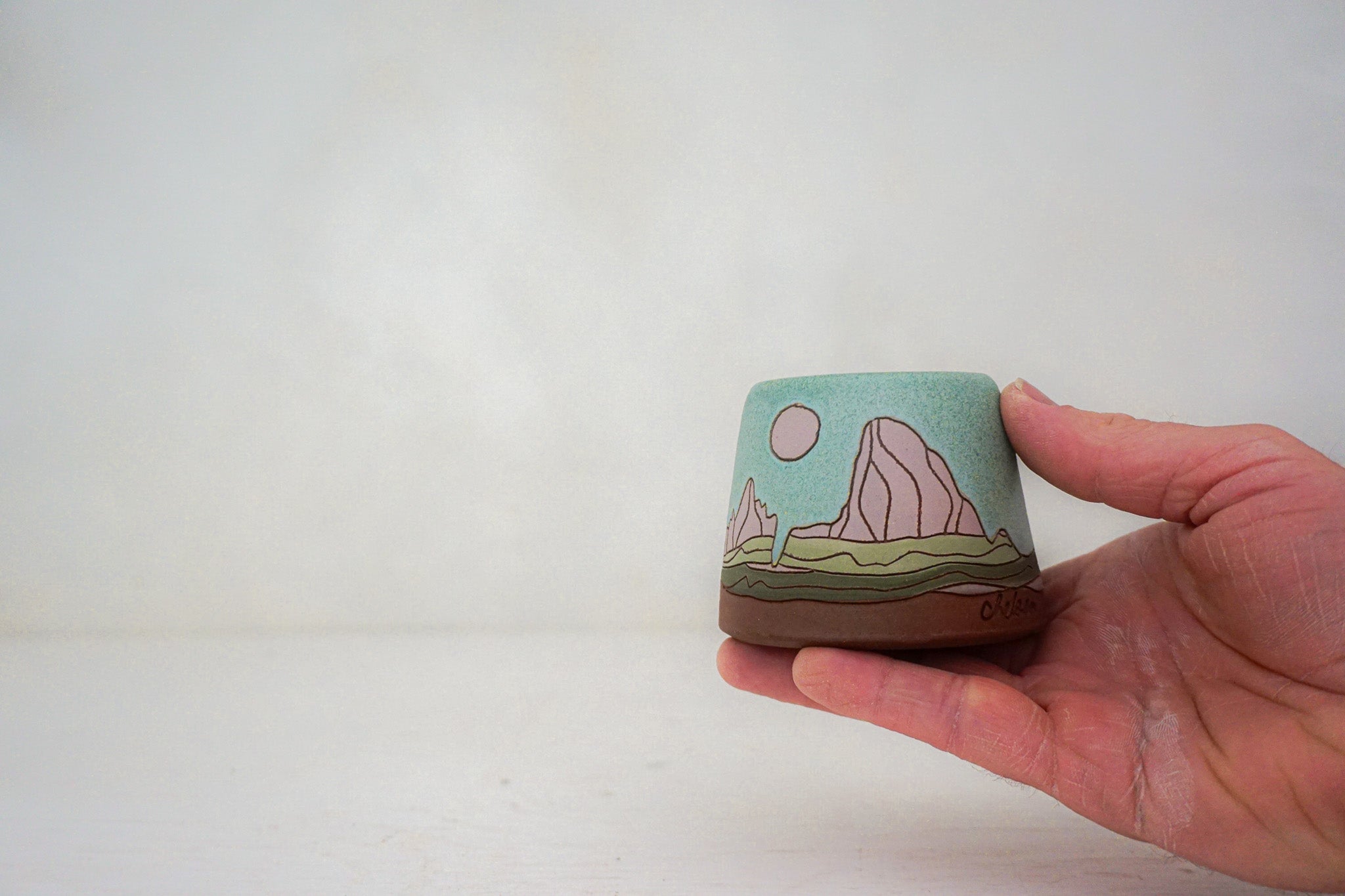 W Teton pinks Sponge holder in LAKE