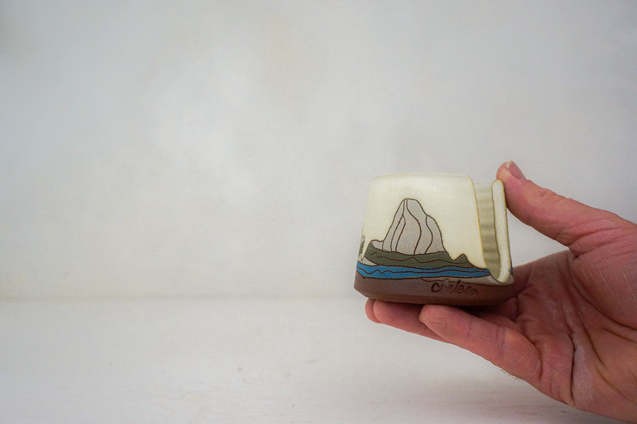 W Teton sponge holder in BONE