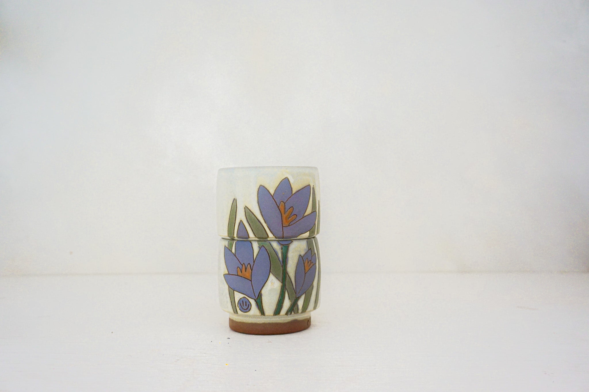 Crocus purple stacks in BONE