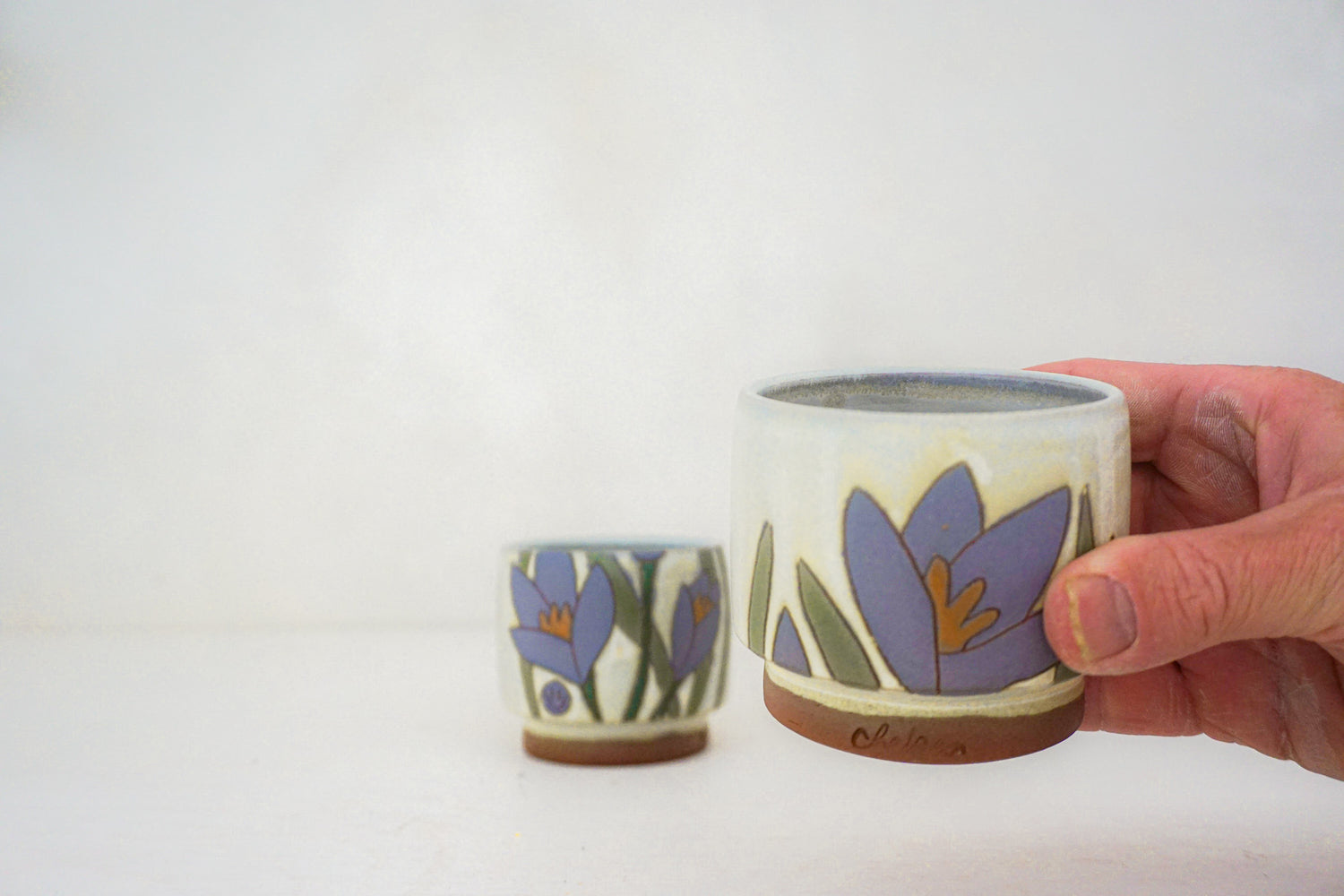 Crocus purple stacks in BONE