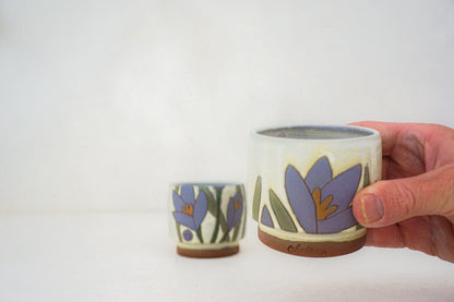 Crocus purple stacks in BONE