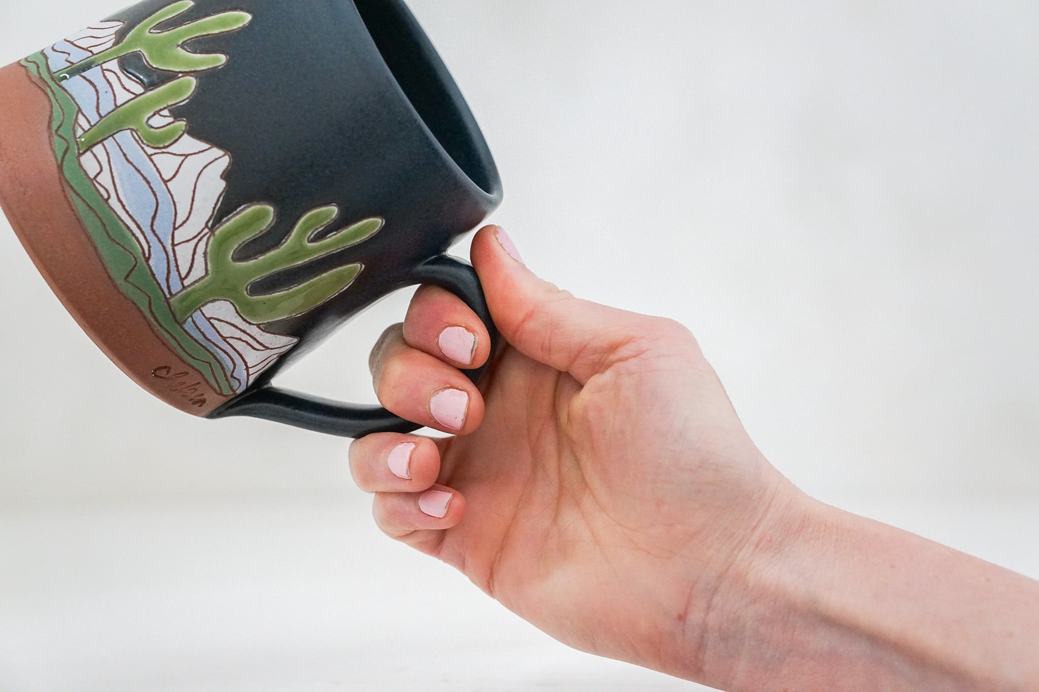 Saguaro National Park Cactus mug in Darby